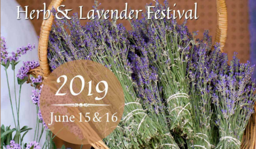 Rancho de las Golondrinas Herb & Lavender Festival June 15 & 16